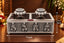 Twin Lotus Silver Dry Fruit Box