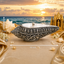 Conch Shell