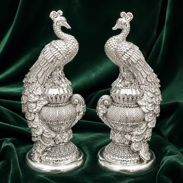 Matka Peacock Pair