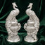 Matka Peacock Pair