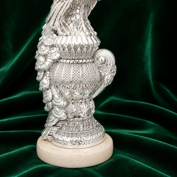 Matka Peacock Pair