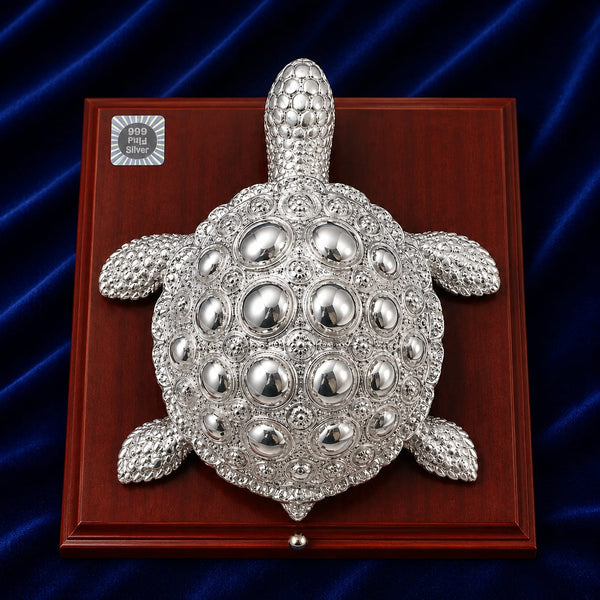 Turtle Cabinet