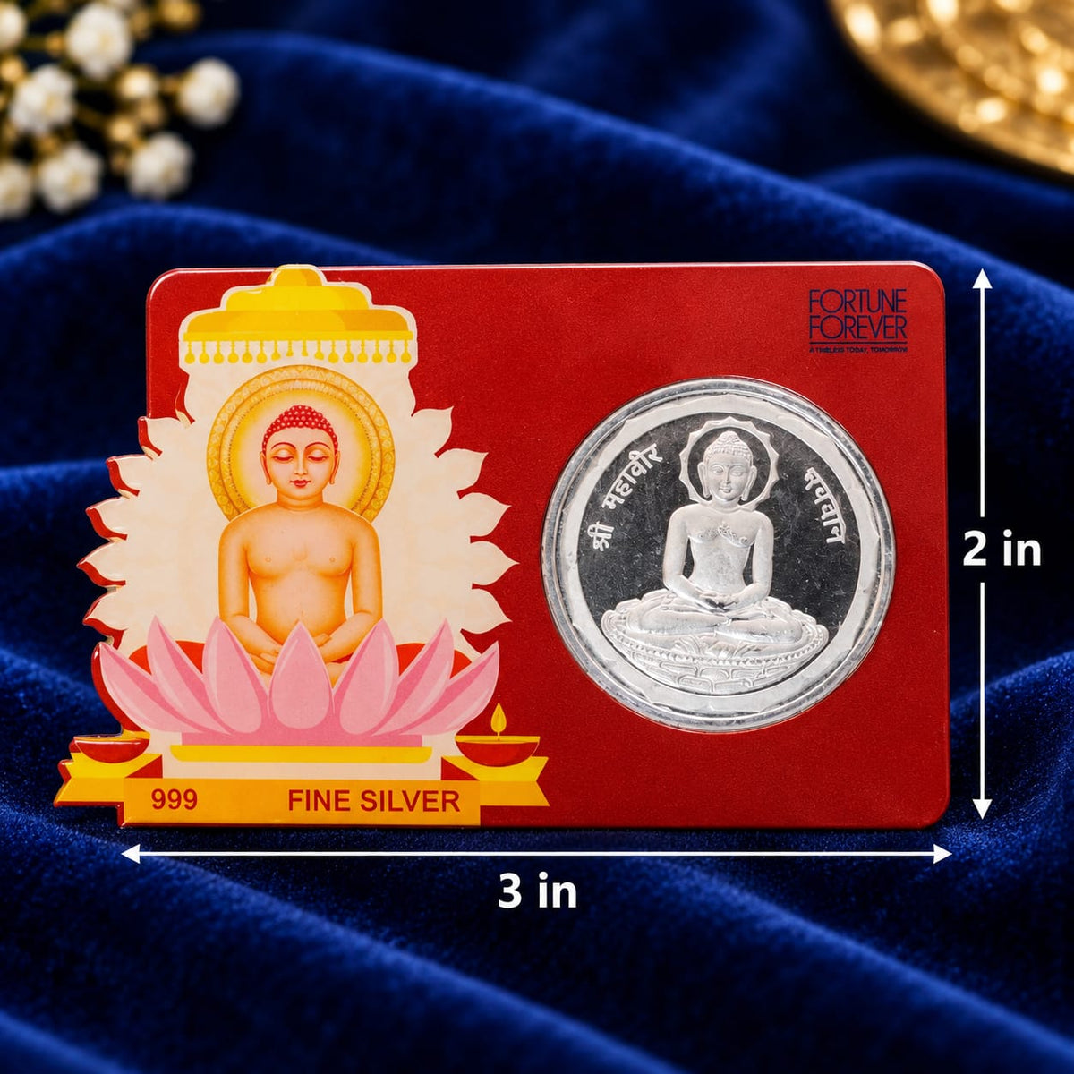 Mahavir Ji Blessings Silver Coin, 10gm Main image