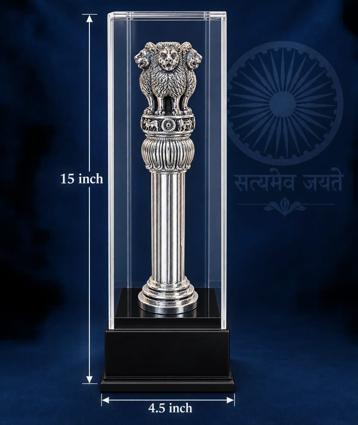 Ashoka Pillar in Display Case