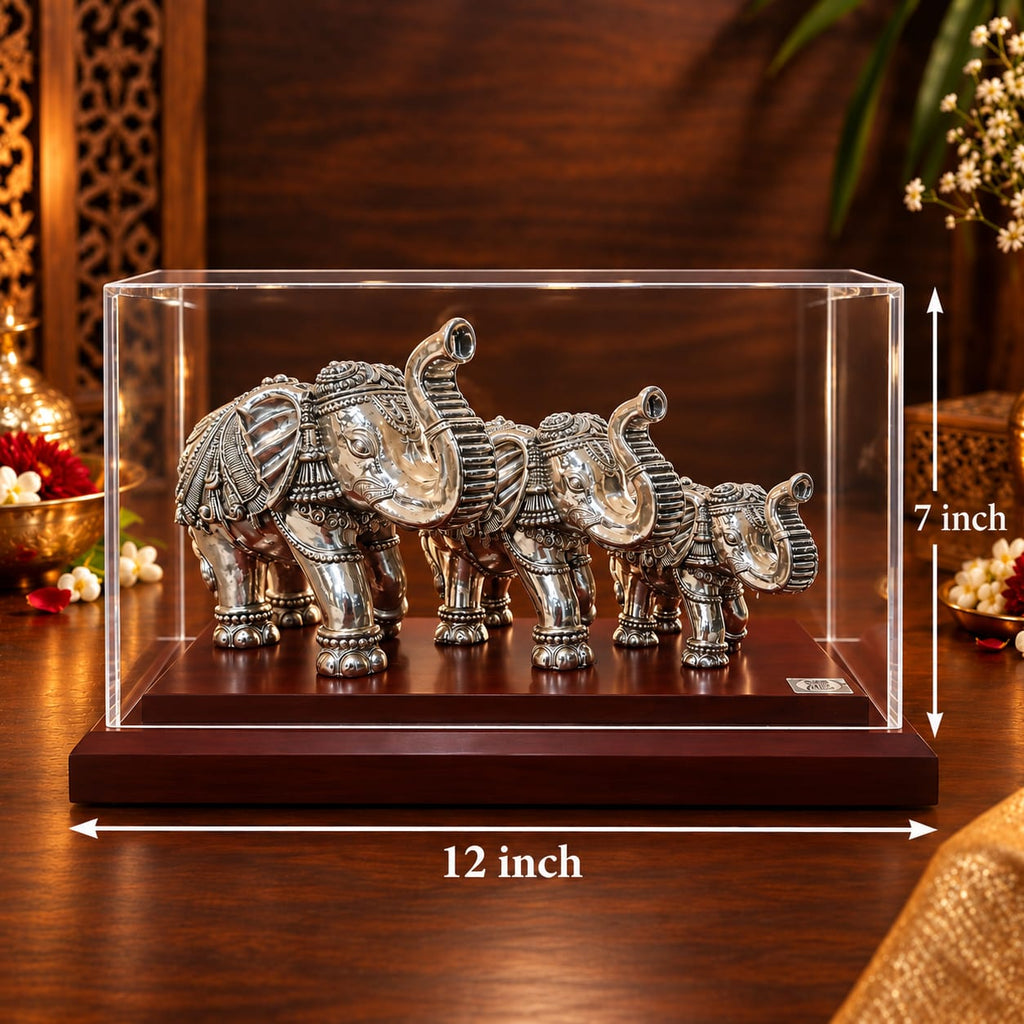 Elephant Family